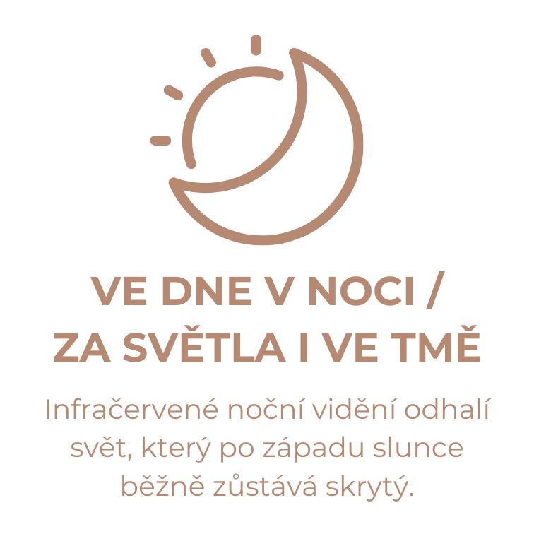 Kidyvision (3)